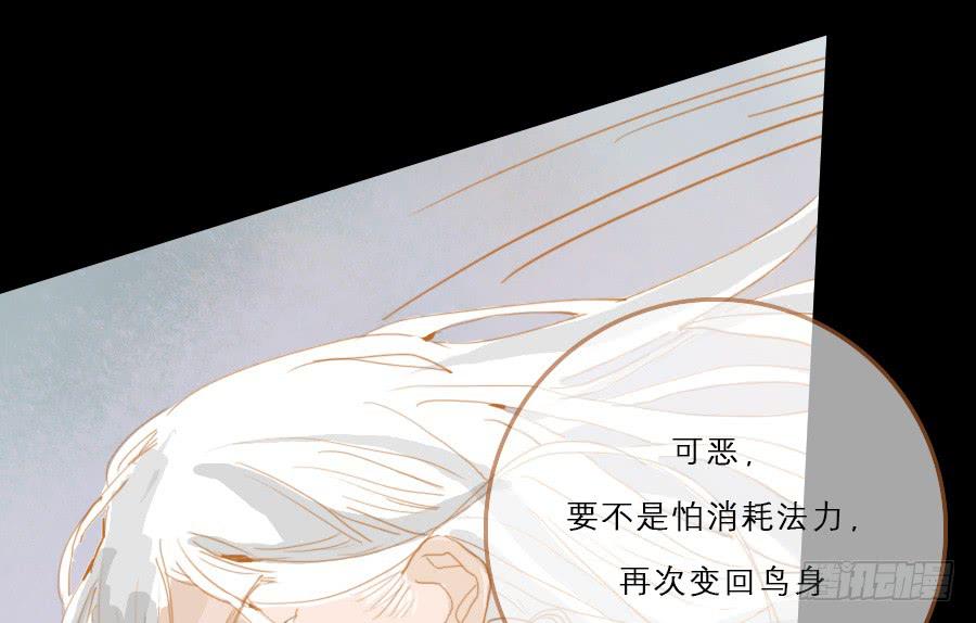 仗义相助遇故人？(1/3)-第11话