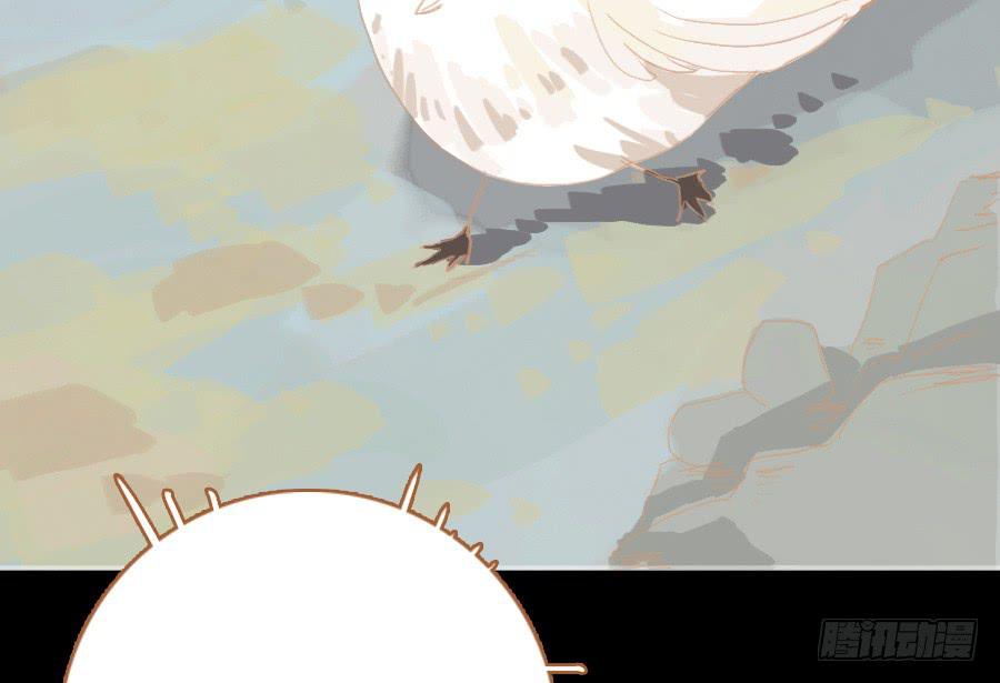 落毛凤凰不如鸡(1/3)-第9话