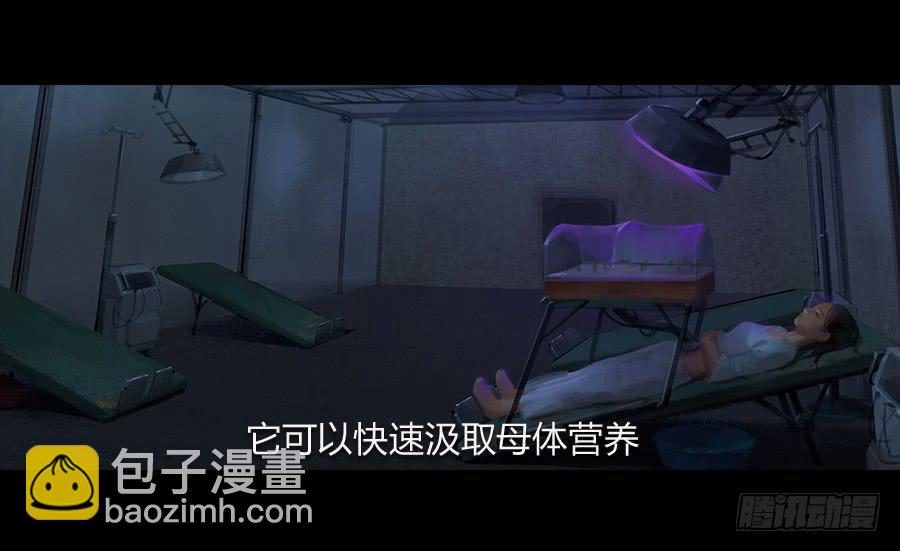 第二话：种菜？！(1/3)-第3话