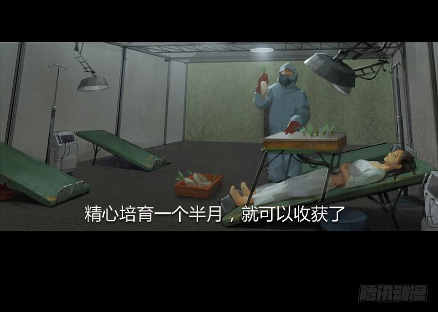 第二话：种菜？！(1/3)-第3话