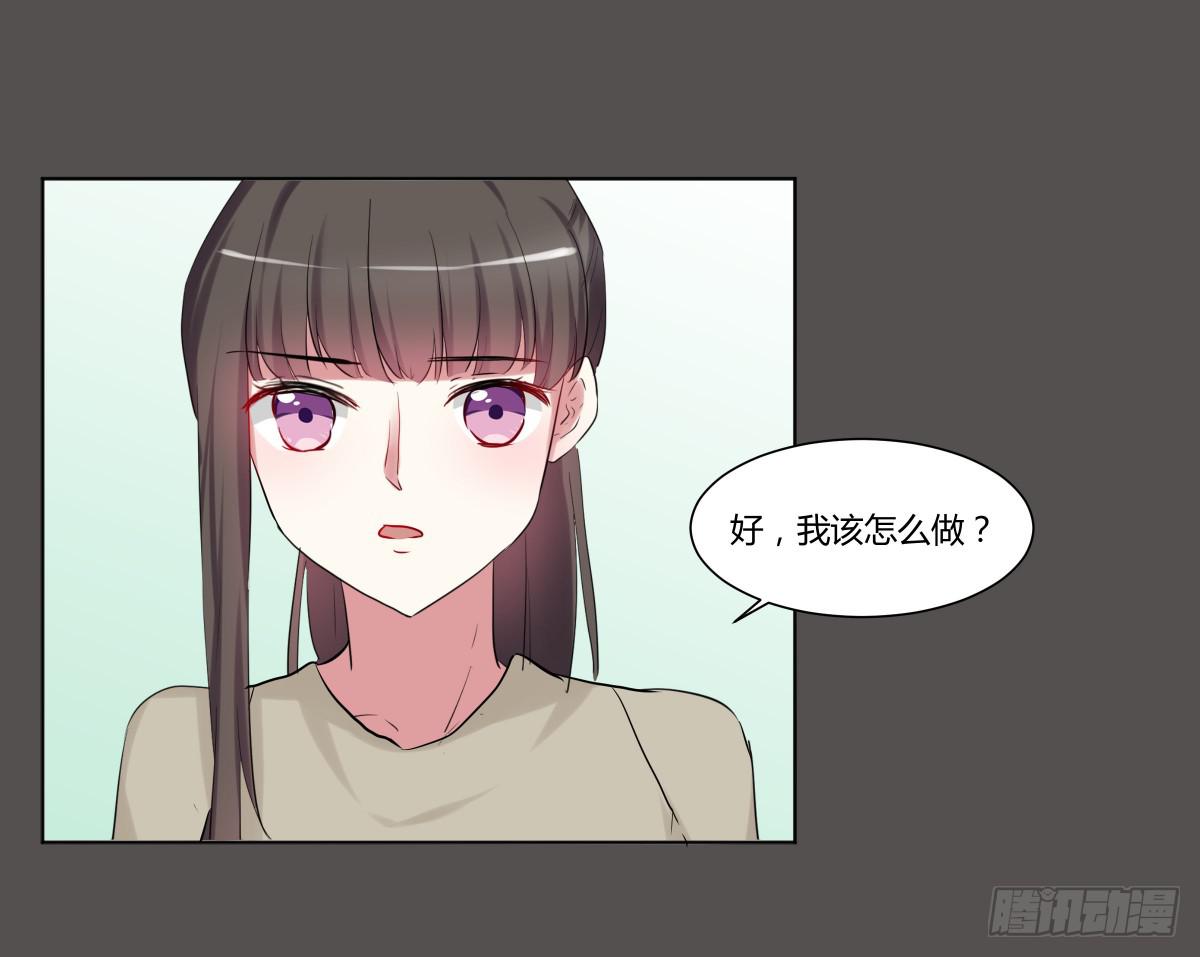 第二十六话：计划与关系修复(1/2)-第27话