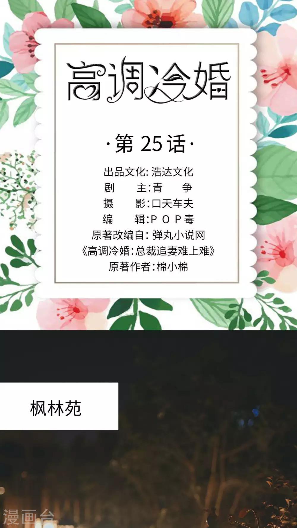 高调冷婚 - 第25话 - 1