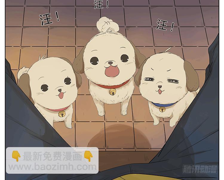 遛狗遛出了意外-第47话