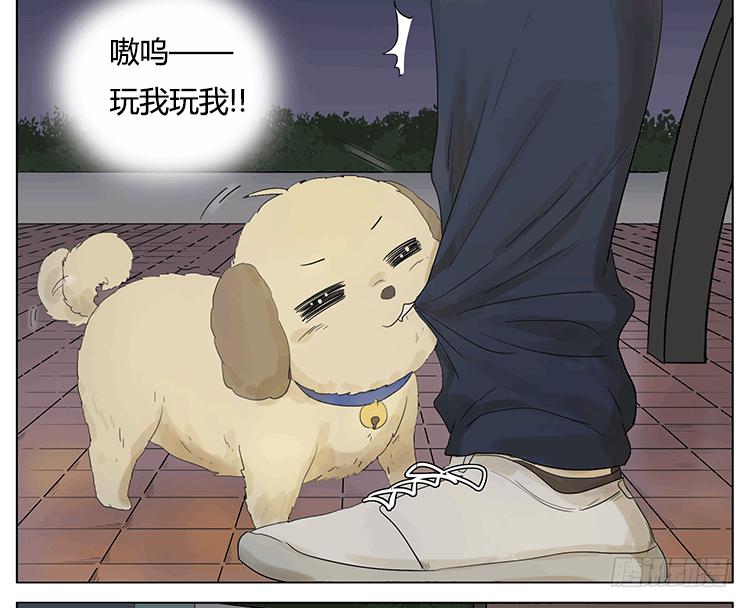 遛狗遛出了意外-第47话