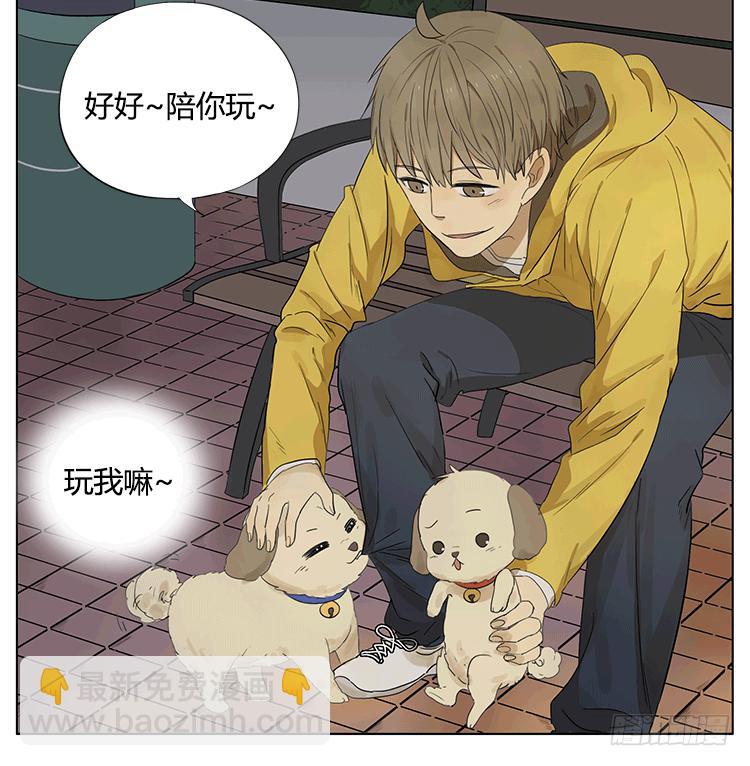 遛狗遛出了意外-第47话