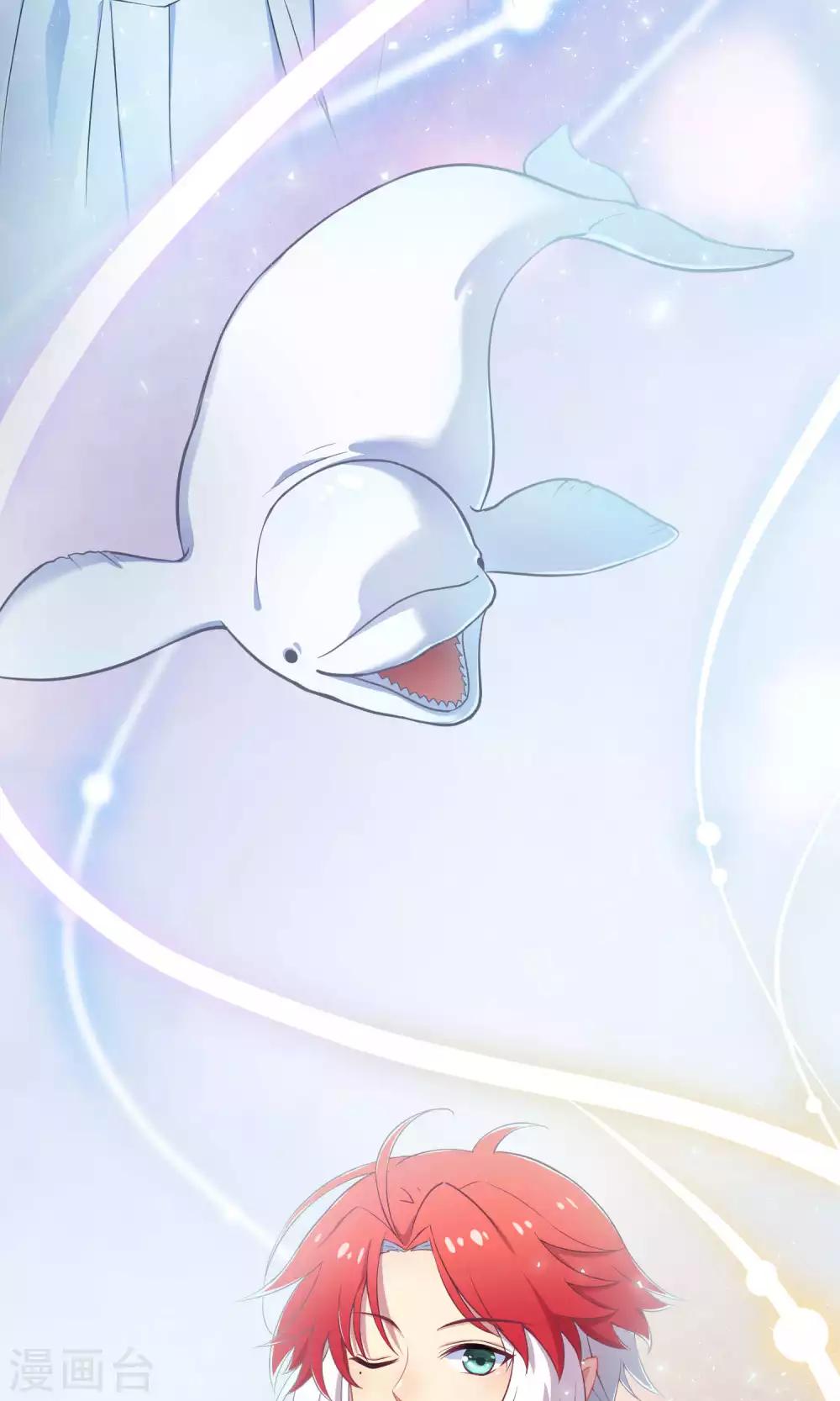 第21话2 鲸之歌-第29话