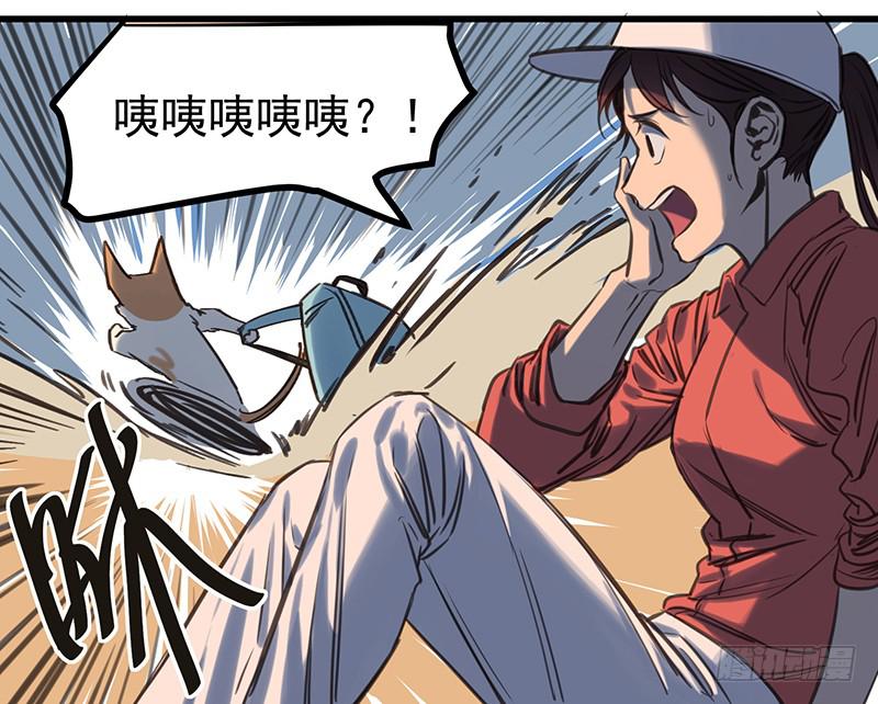 隐匿的犬之城(1/2)-第1话