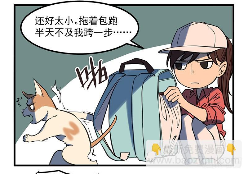 隐匿的犬之城(1/2)-第1话