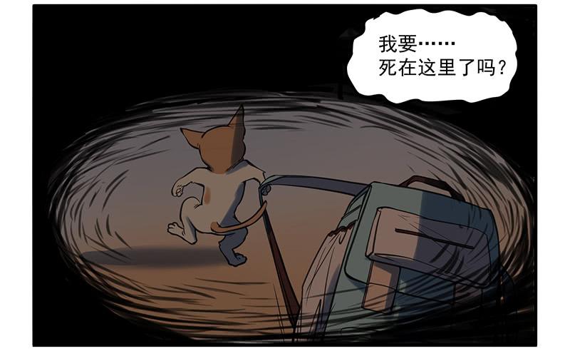 隐匿的犬之城(1/2)-第1话