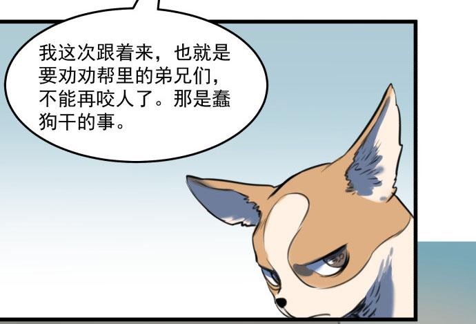 文明养犬 遛狗牵绳-第15话