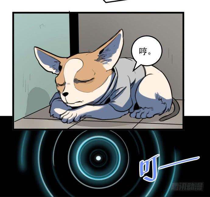 文明养犬 遛狗牵绳-第15话