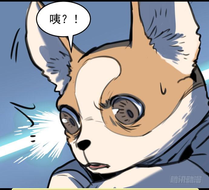 文明养犬 遛狗牵绳-第15话