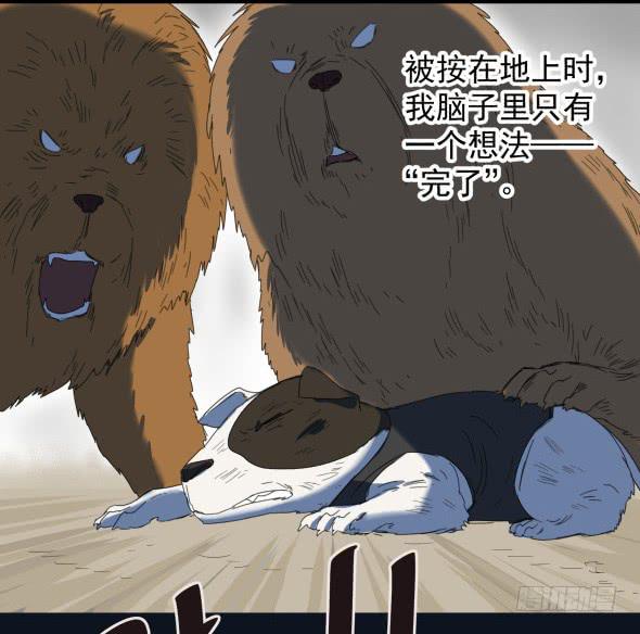 以后我罩着你-第21话