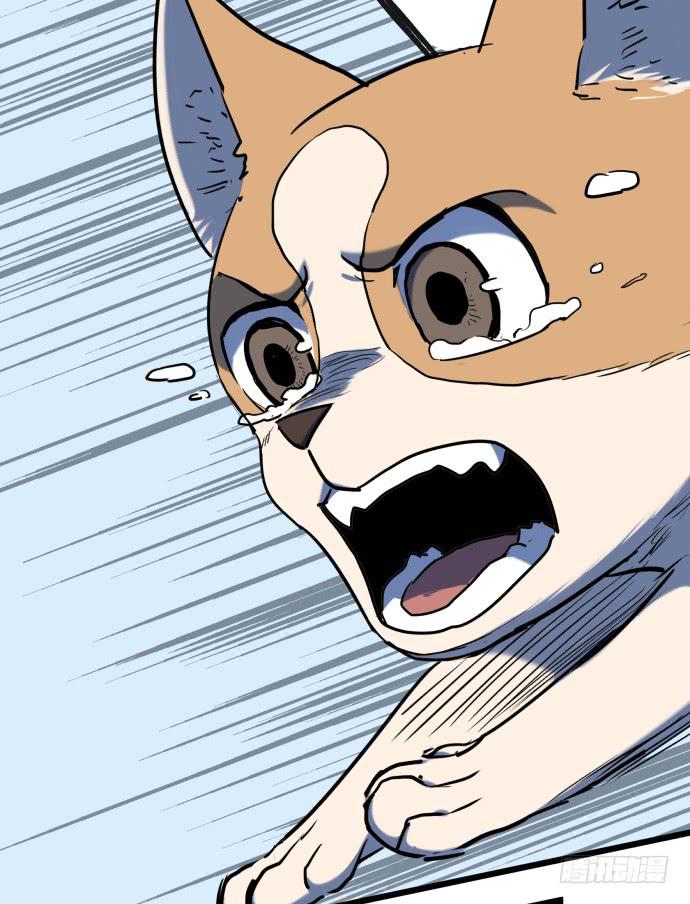 我一定会保护犬封人-第33话