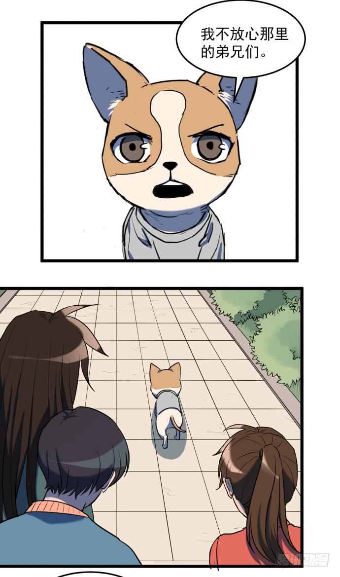 我一定会保护犬封人-第33话