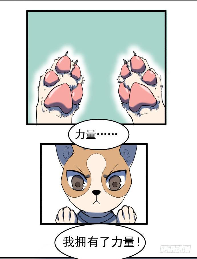 回到犬封镇之后&hellip;&hellip;(1/2)-第35话