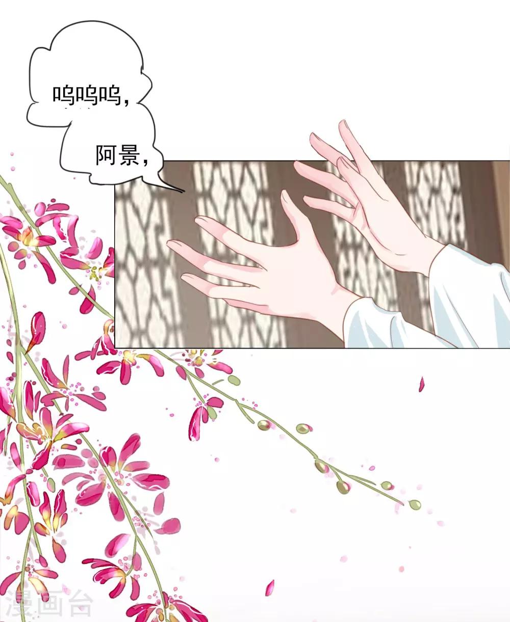 第70话 此生，我都会保护好你的-第77话