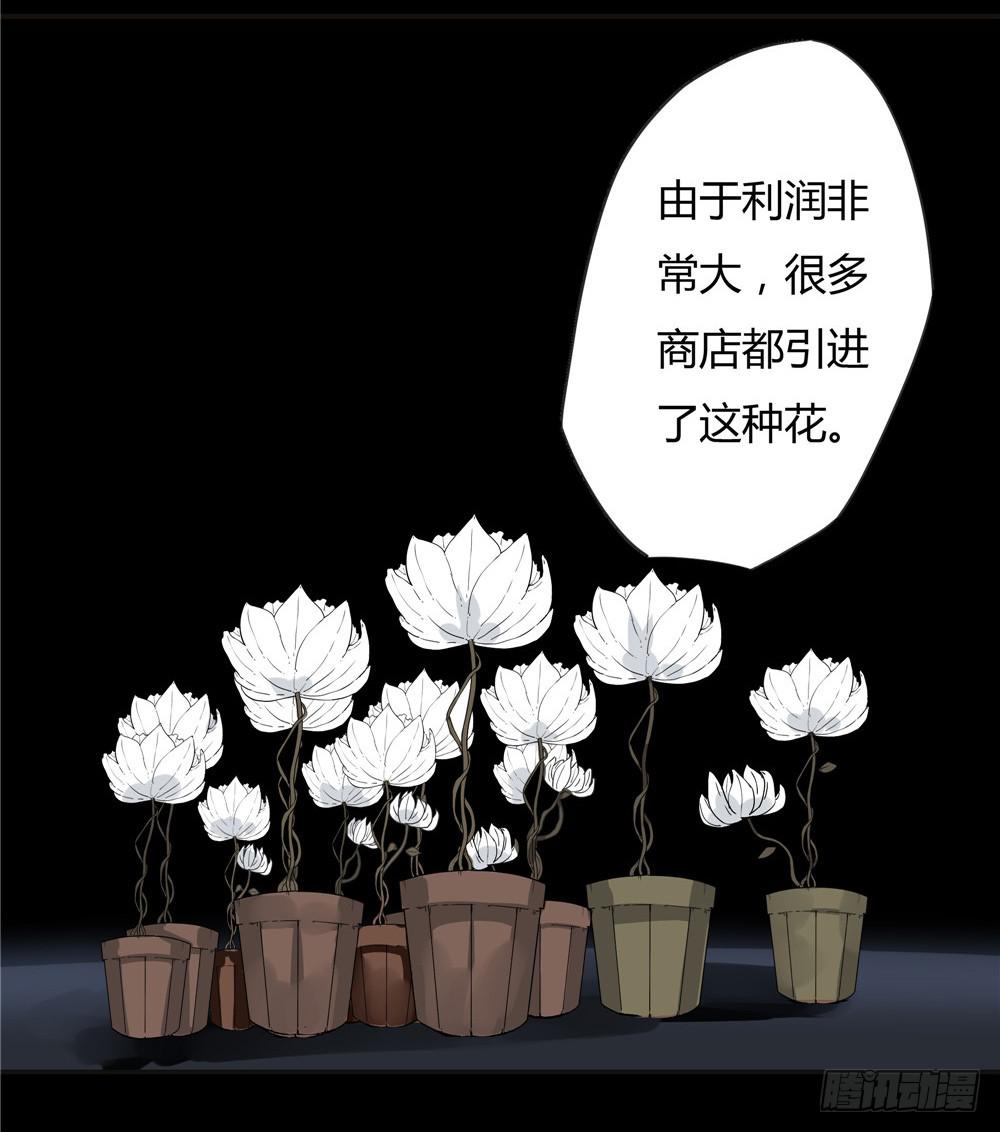 葬花【四】-第75话