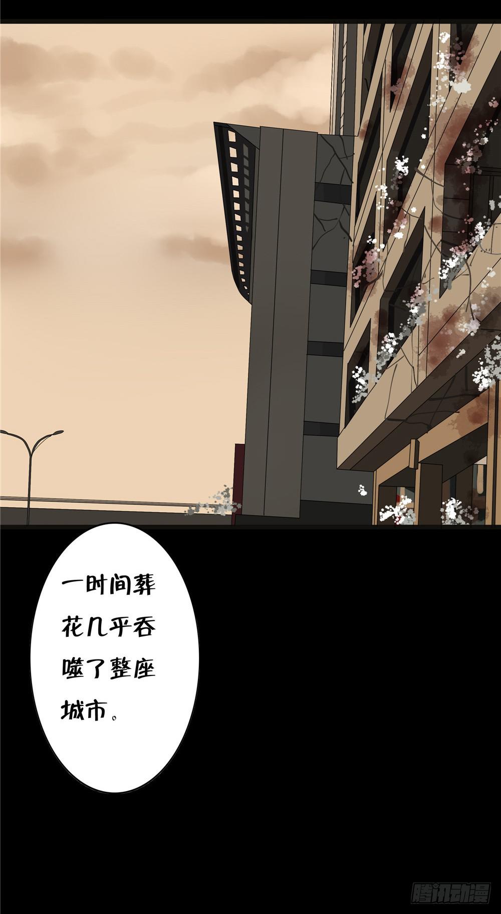 葬花【六】-第77话