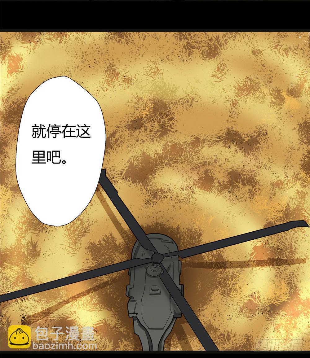 葬花【六】-第77话