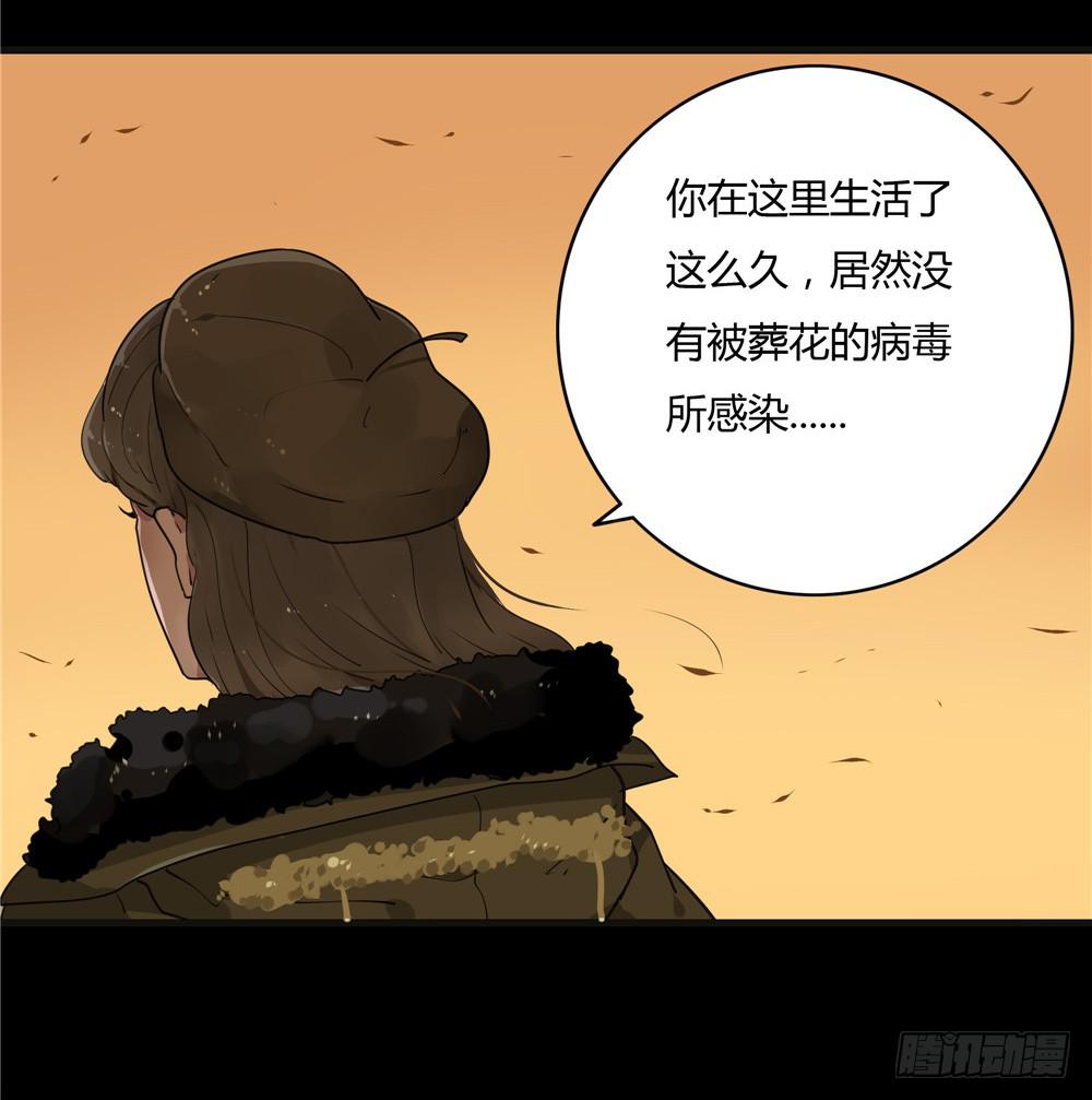 葬花【八】(1/2)-第79话