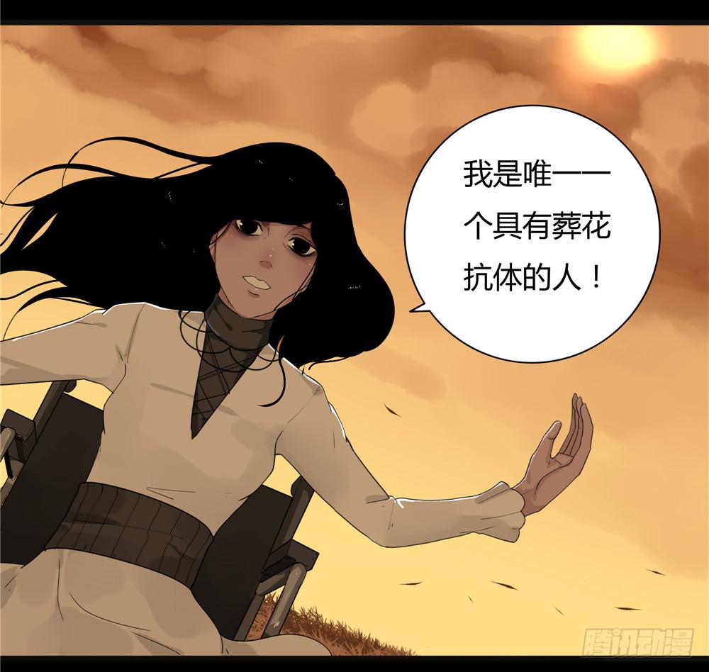 葬花【八】(1/2)-第79话