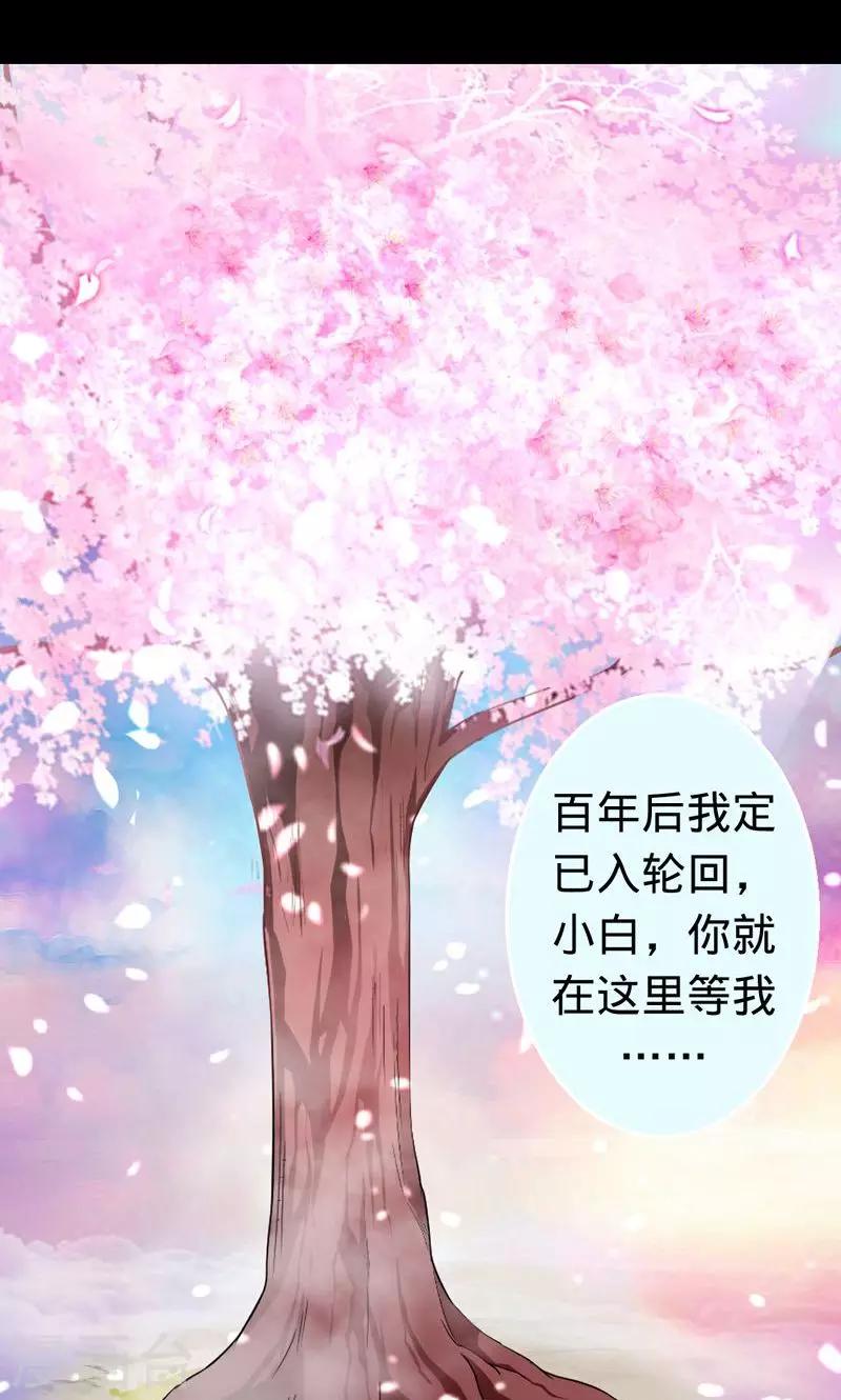 第33话 往生镜中的前世秘密-第33话