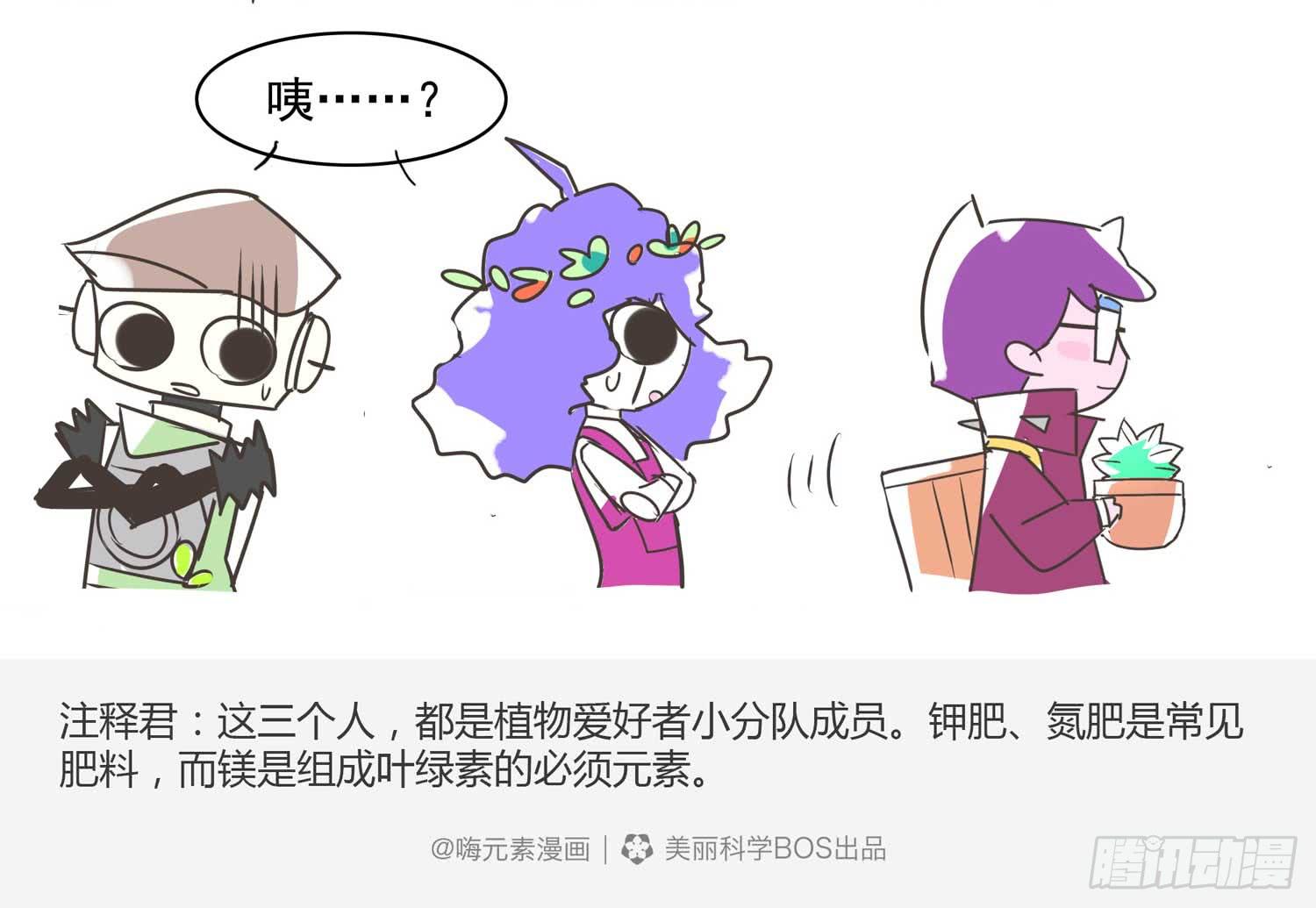 多肉爱好者的战争-第11话