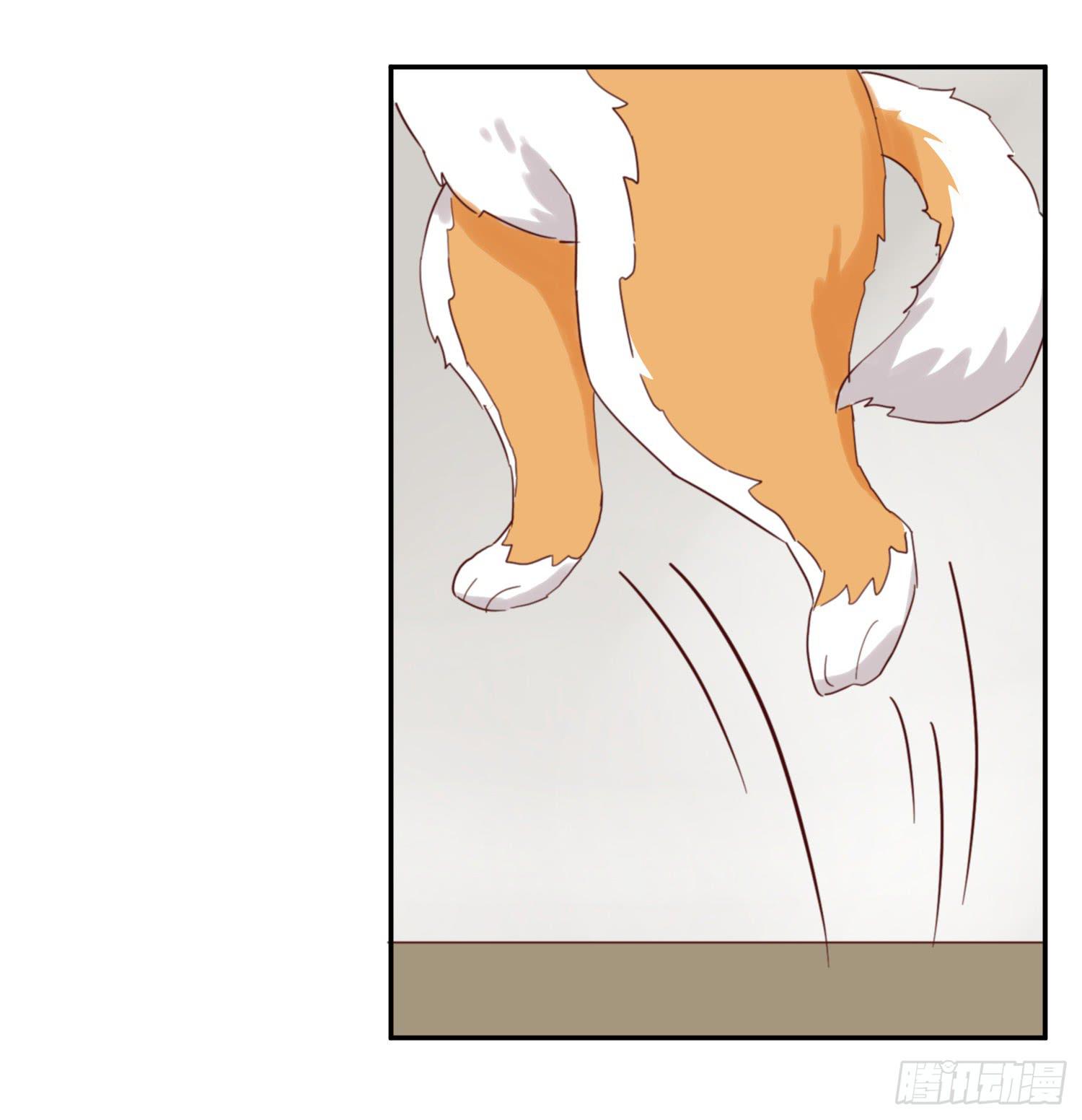 我该告诉她实情吗？-第23话