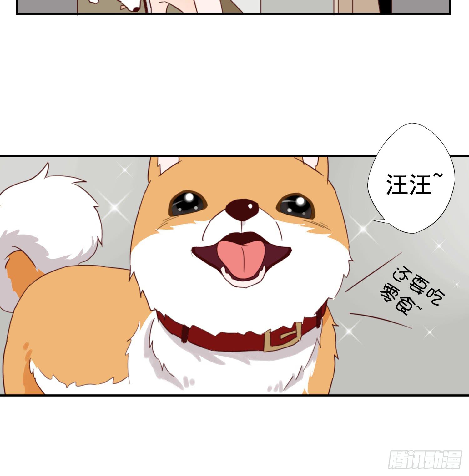 我该告诉她实情吗？-第23话