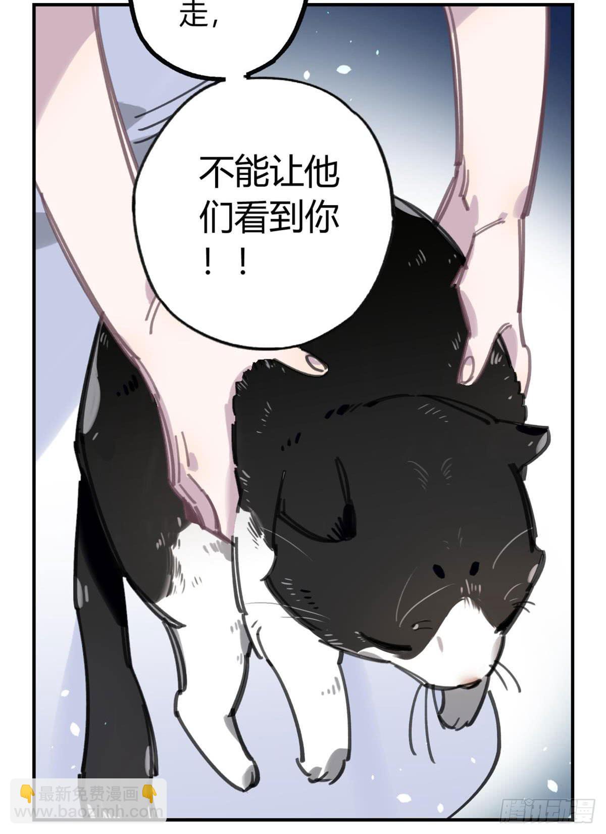 被丢弃的猫-第53话