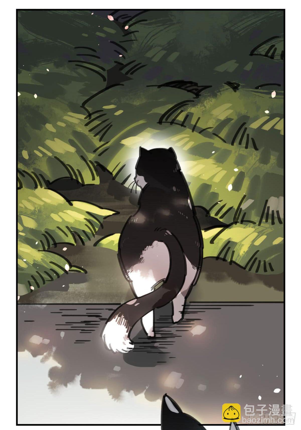 被丢弃的猫-第53话