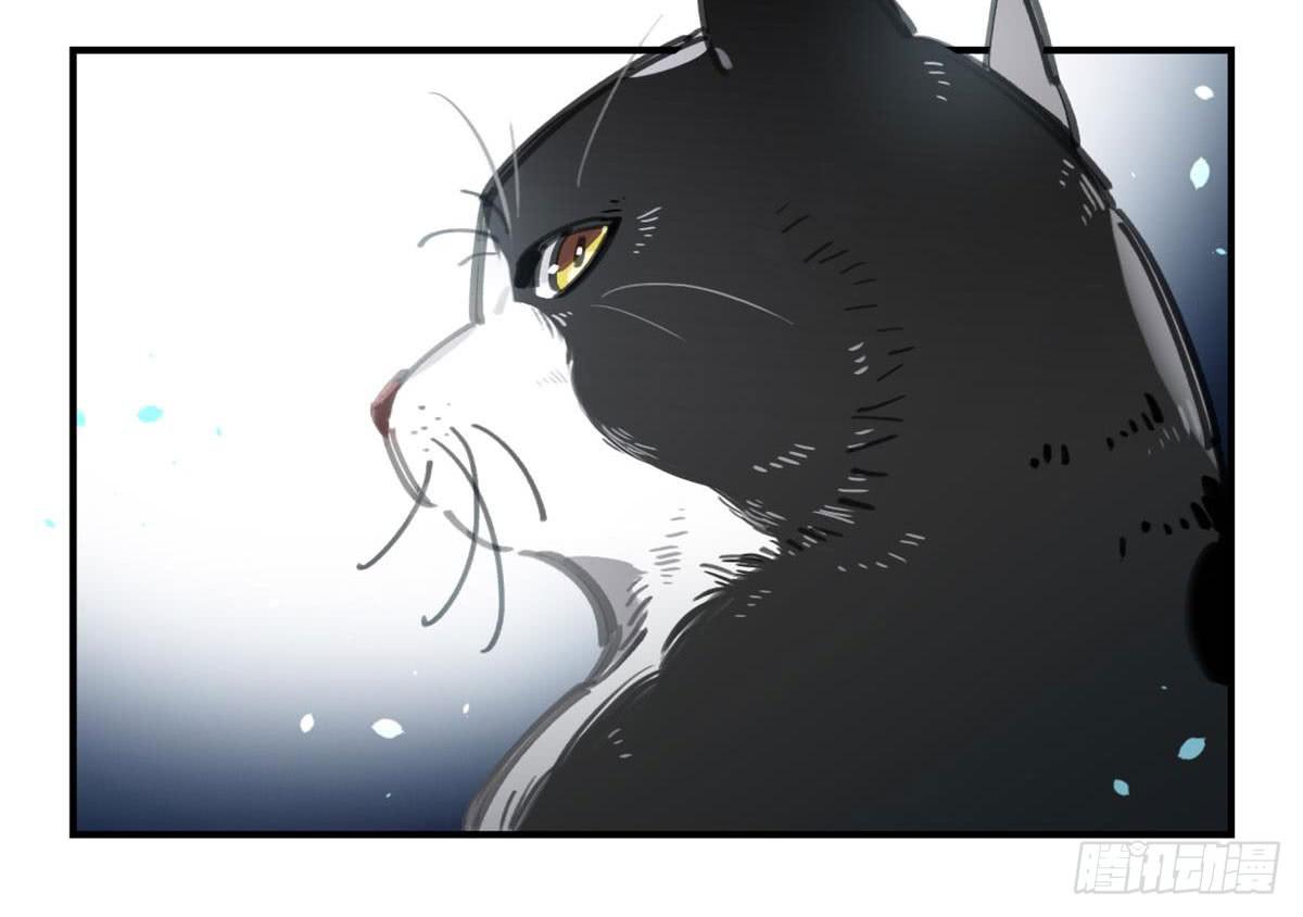 被丢弃的猫-第53话