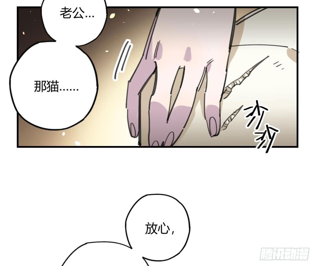 被丢弃的猫-第53话