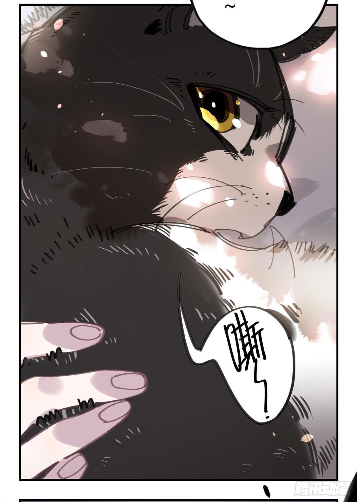 被丢弃的猫-第53话