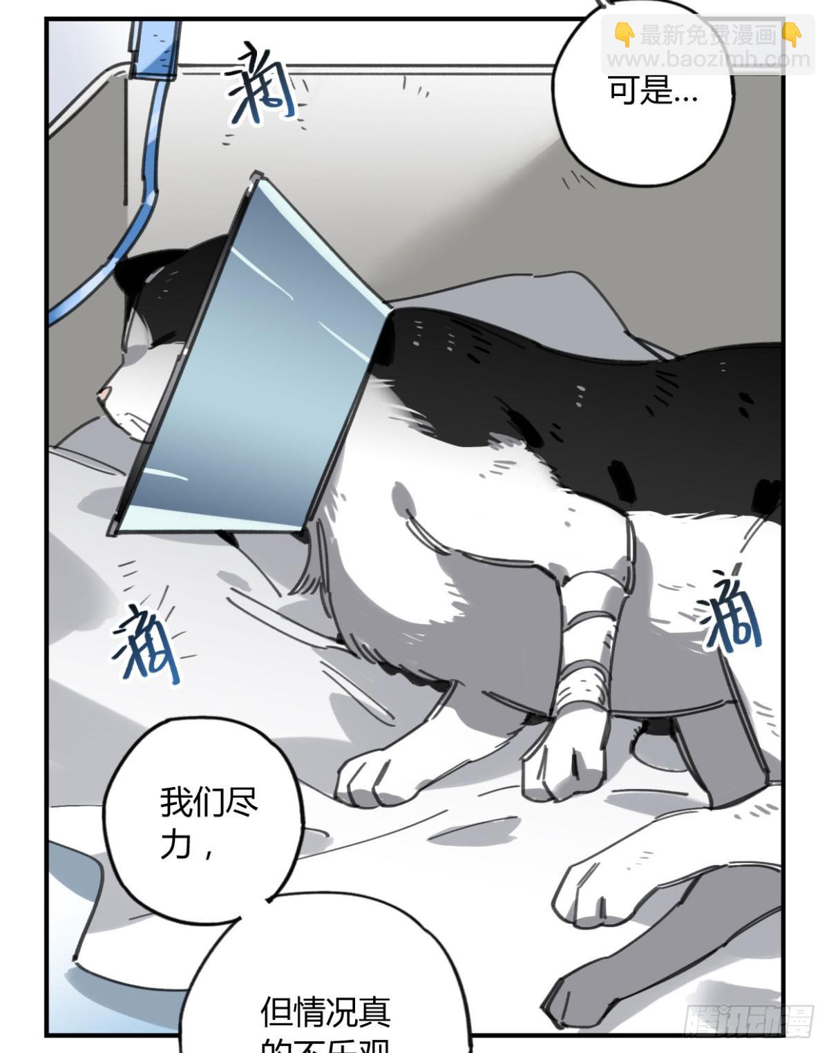 一定要救它！(1/2)-第57话