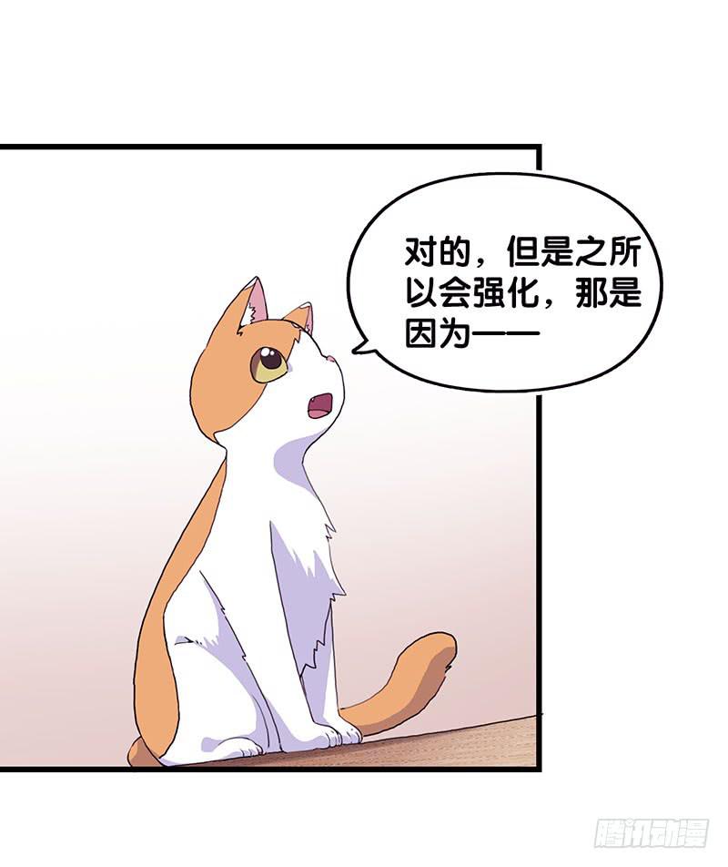 14.我非常讨厌魔法师-第15话