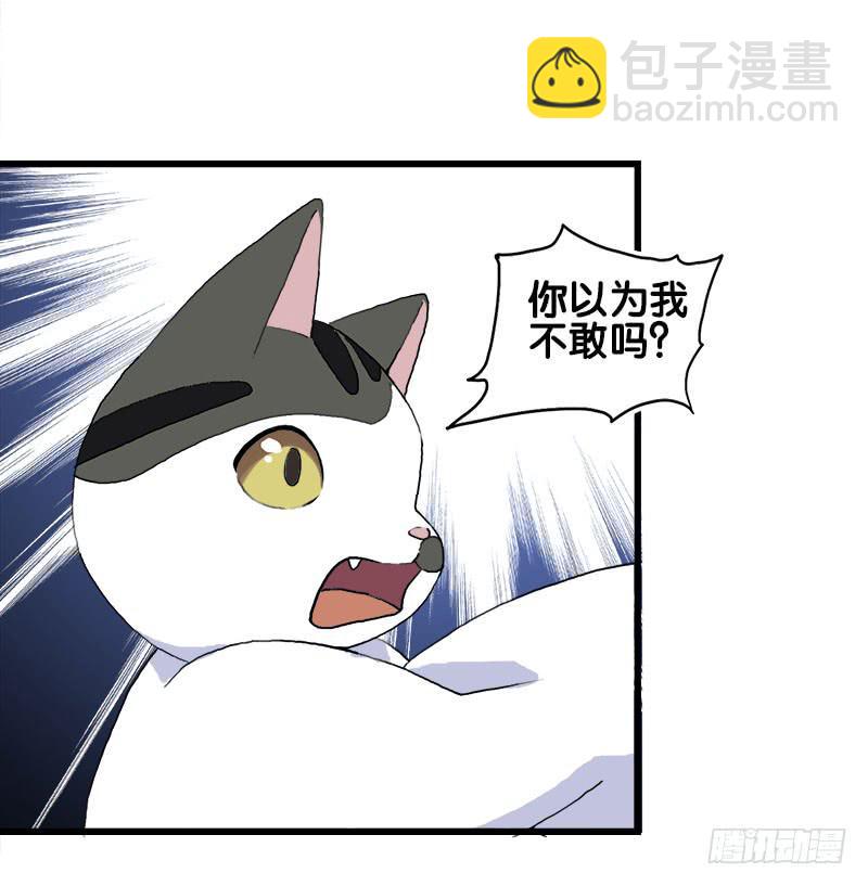 14.我非常讨厌魔法师-第15话