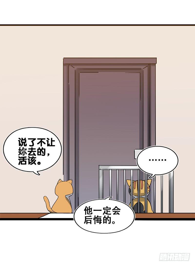 18.四元素大会出发！(1/2)-第19话