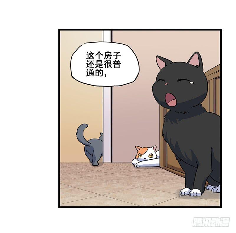 4.黑猫家的访客-第5话