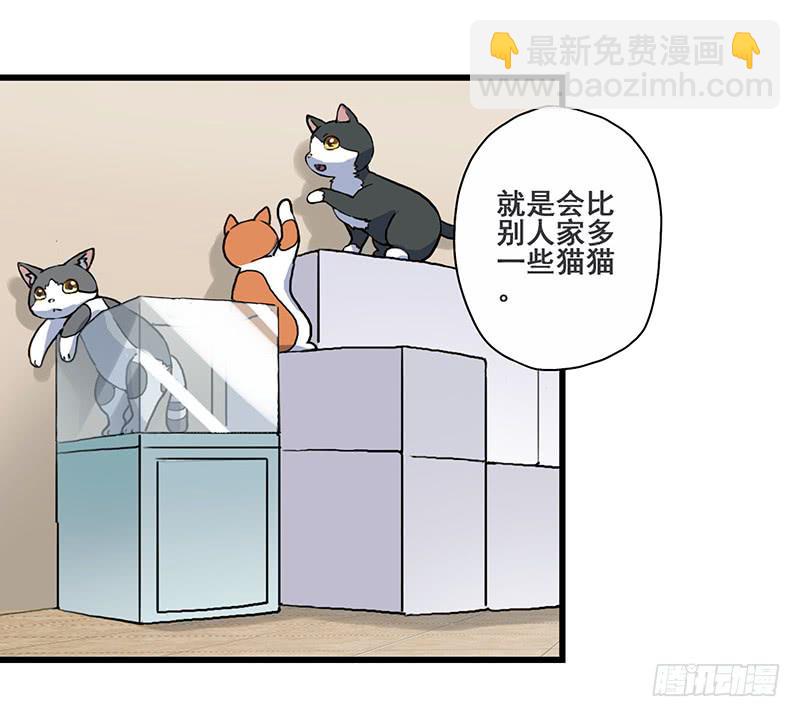 4.黑猫家的访客-第5话