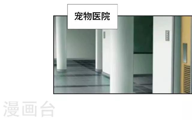 第13话 他们的关系-第15话