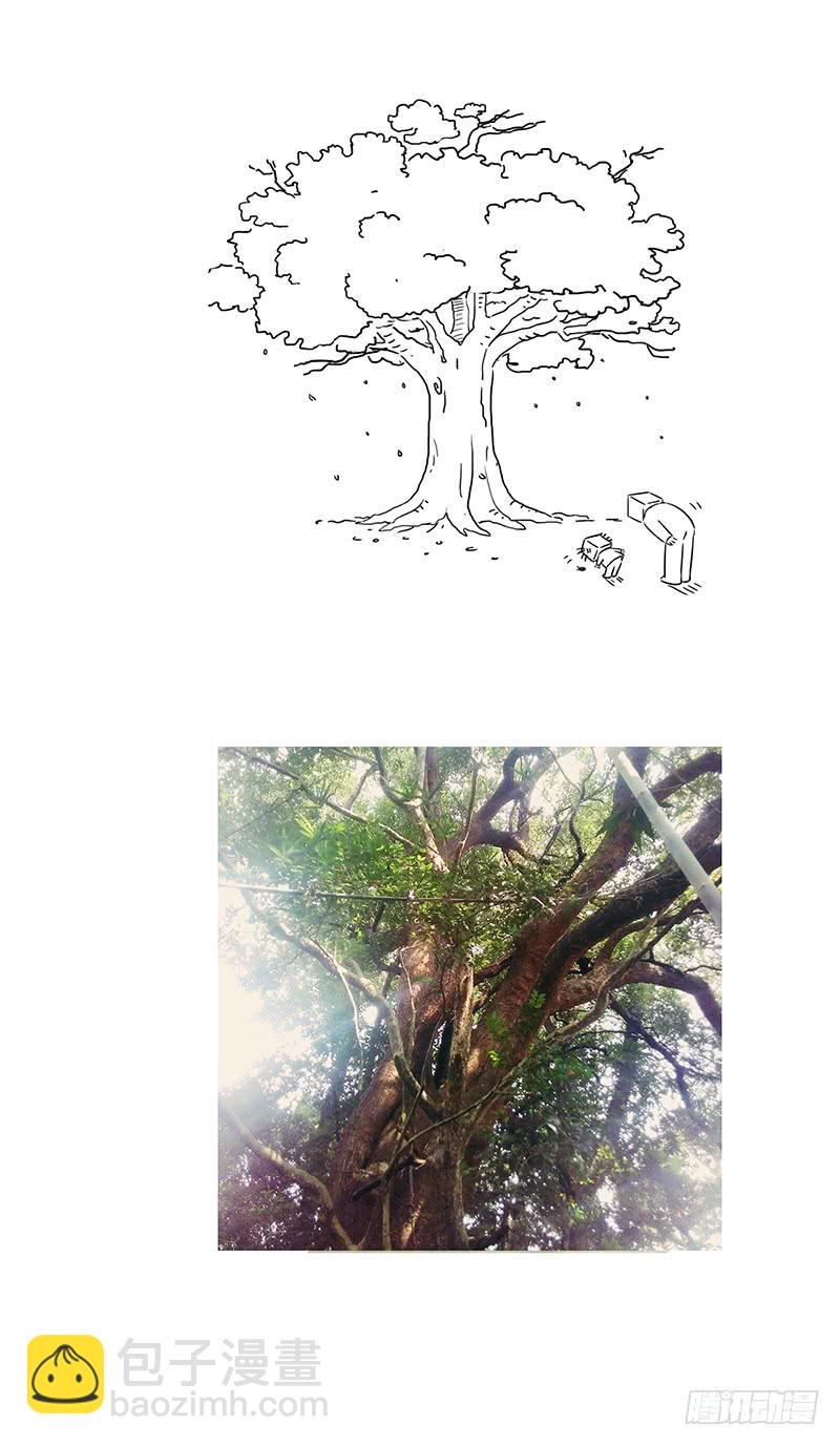 家乡的大树-第47话