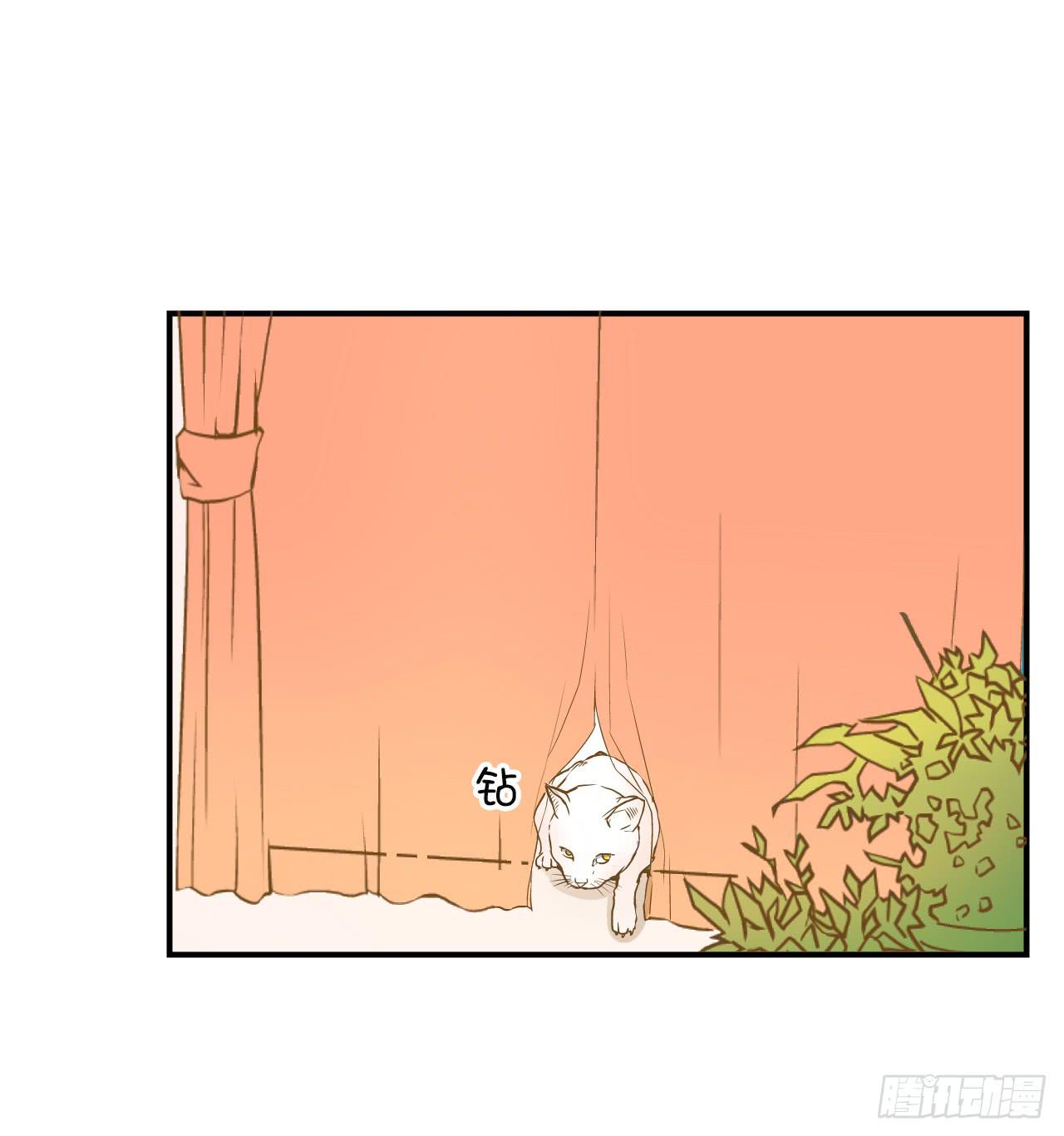 对峙（1）-第11话