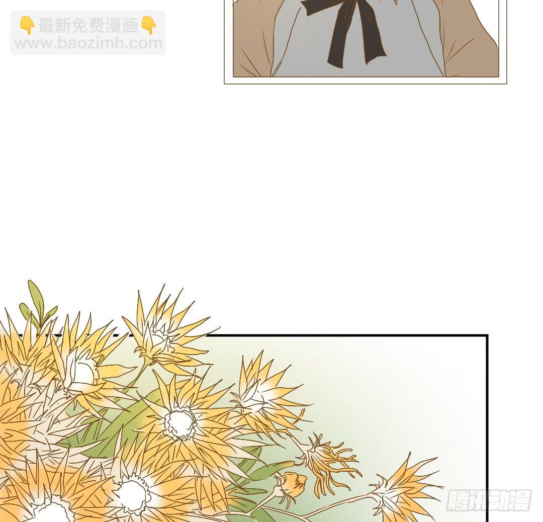 解风臣的执念-第31话