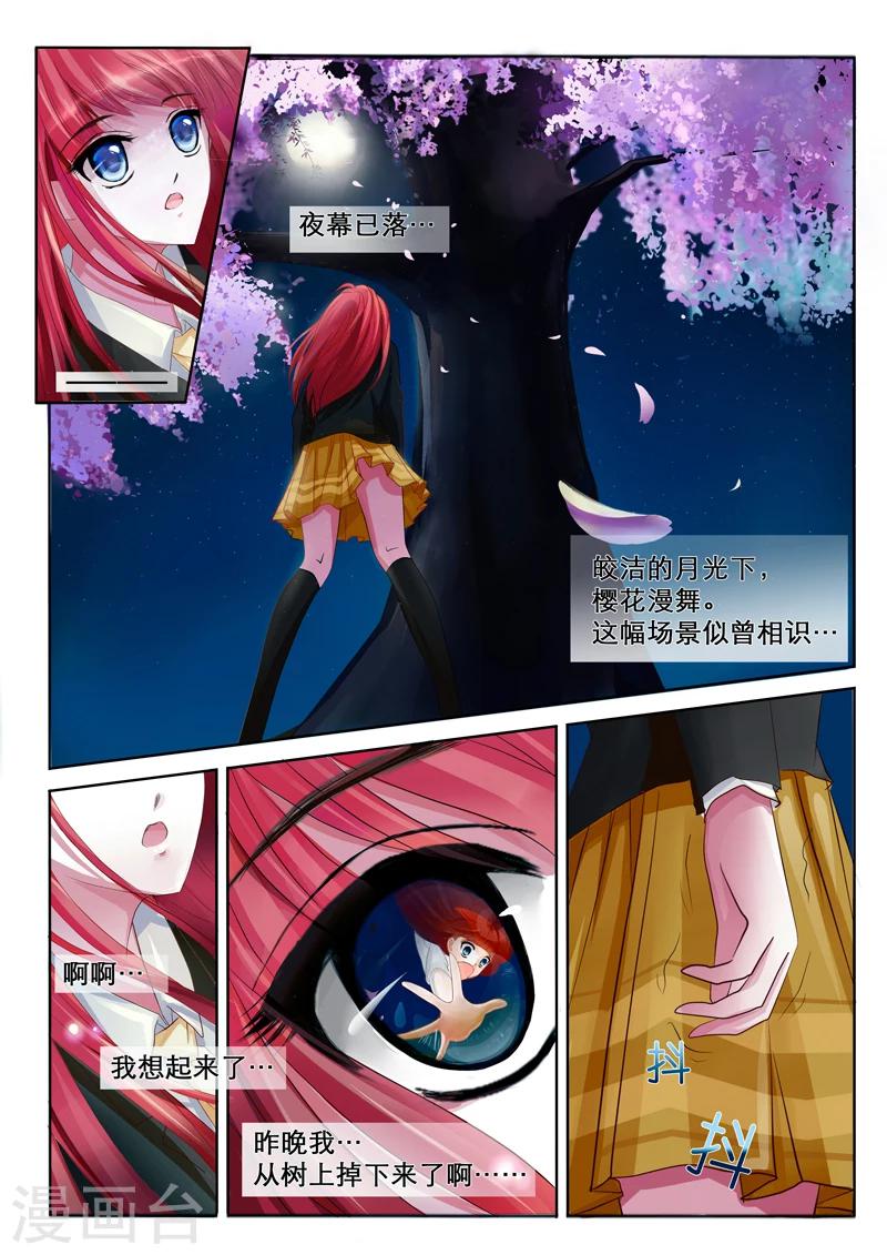 第2话 特莱西柯-第5话