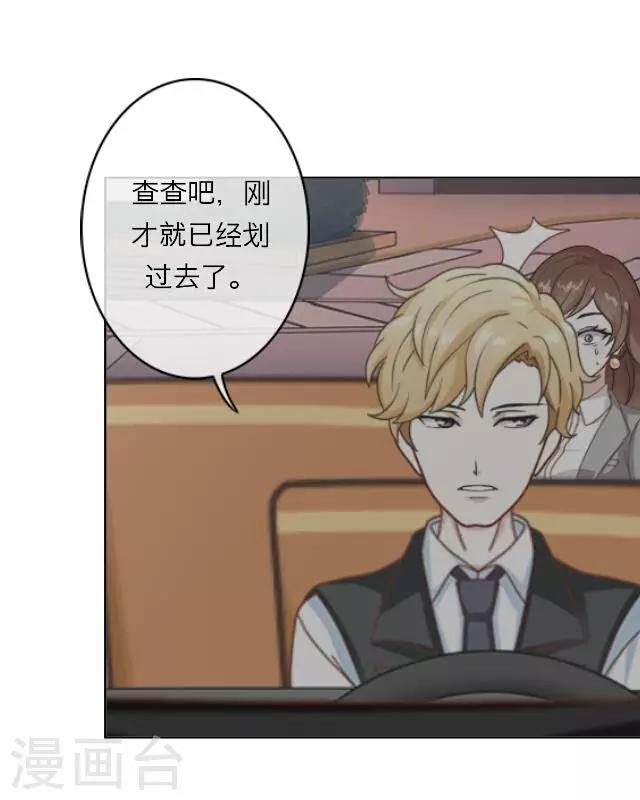 第11话 毛彤彤4-第11话