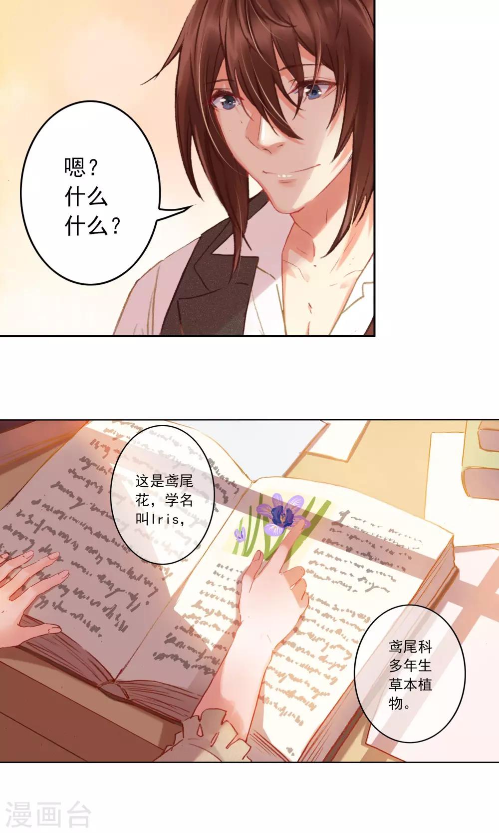 第2话 生日快乐，艾莉丝-第3话