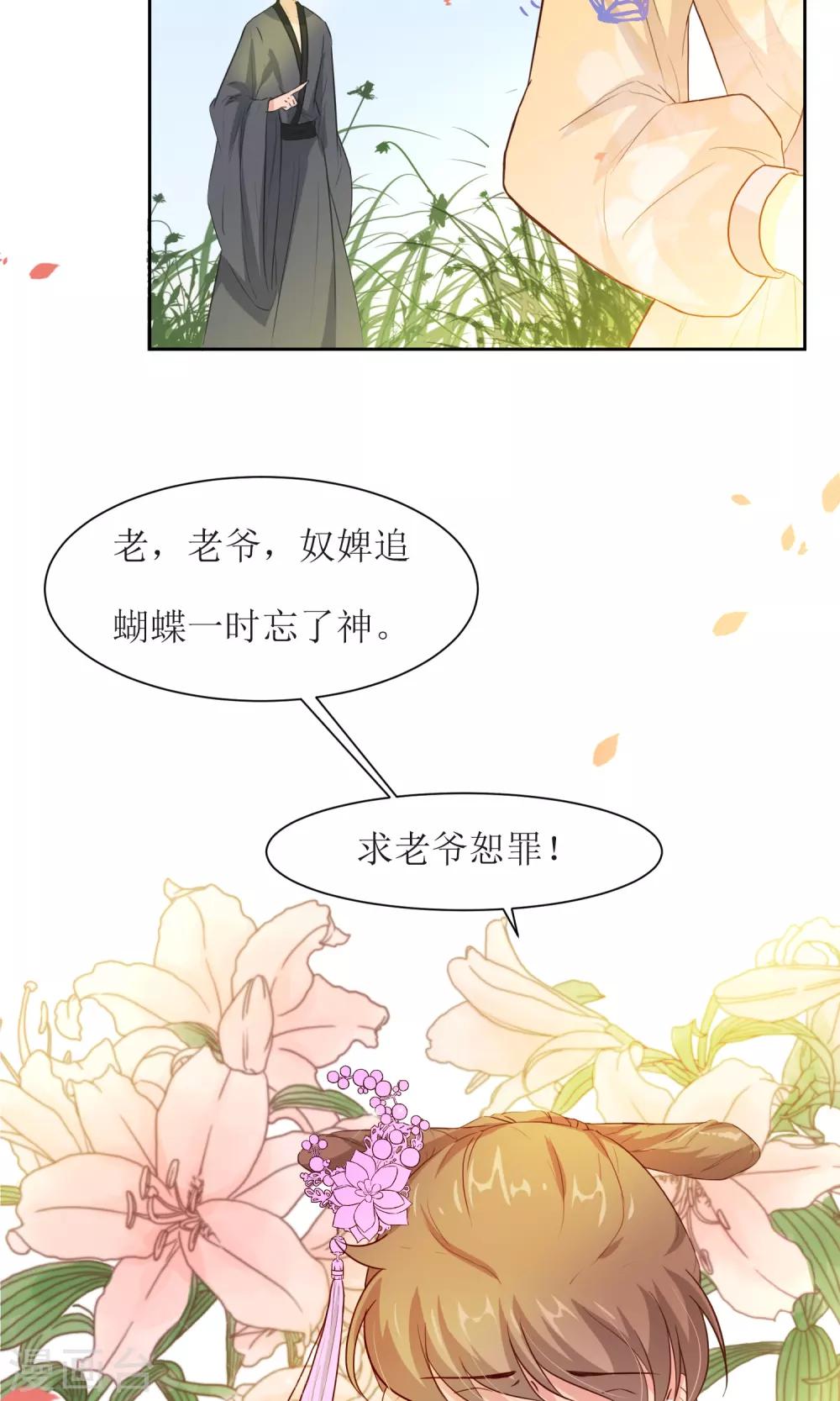 第25话 追蝴蝶的女子-第27话