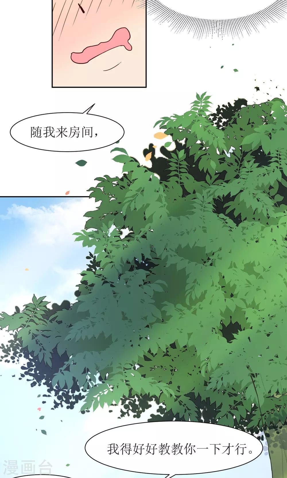 第25话 追蝴蝶的女子-第27话